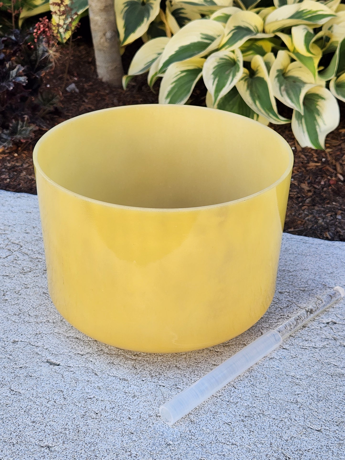 Pyrite Quartz Bowl